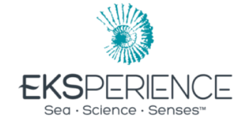 eksperienc_eps