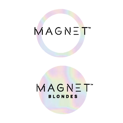 magnet_ai_ps